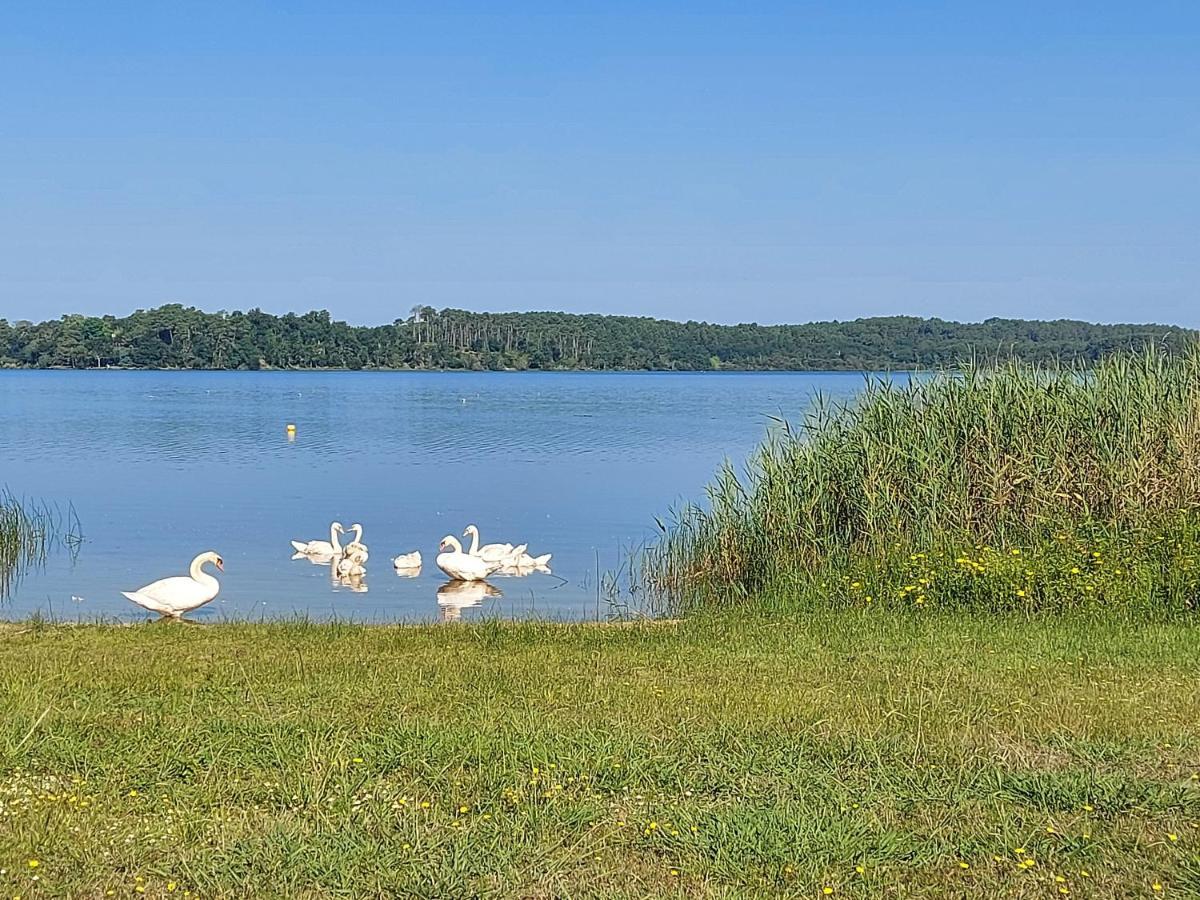 T2, 50M Du Lac, Piscine, Wifi, Jardin Terrasse Sans Vis-A-Vis, 1 A 4 Pers Aureilhan  Luaran gambar