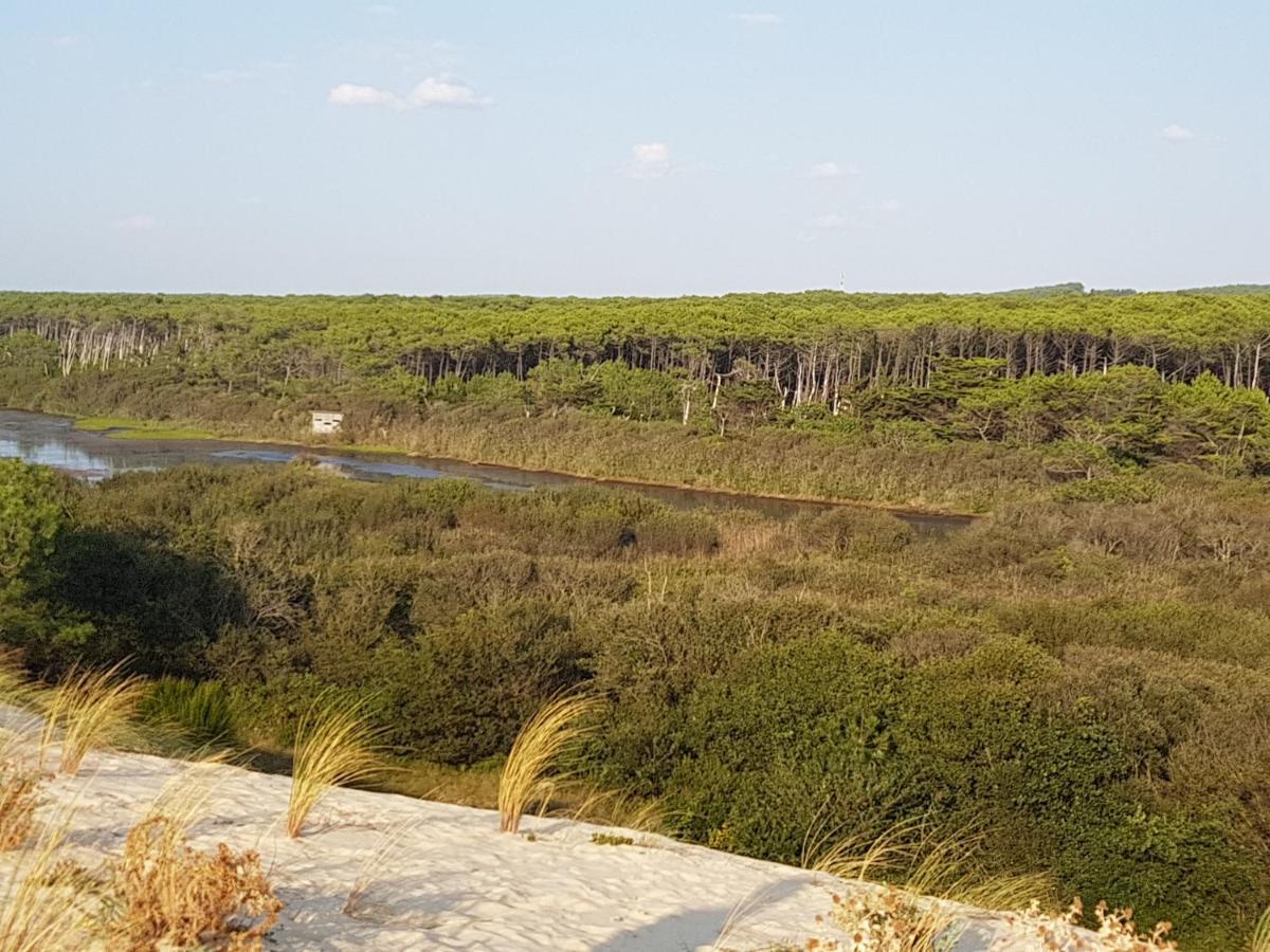 T2, 50M Du Lac, Piscine, Wifi, Jardin Terrasse Sans Vis-A-Vis, 1 A 4 Pers Aureilhan  Luaran gambar